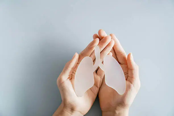 Integrative Lung Cancer Support Options
